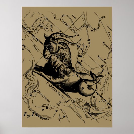Capricorn Constellation  Engraving Hevelius Poster (Voorkant)