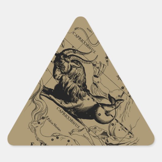 Capricorn Constellation  Engraving Hevelius Sticker (Voorkant)