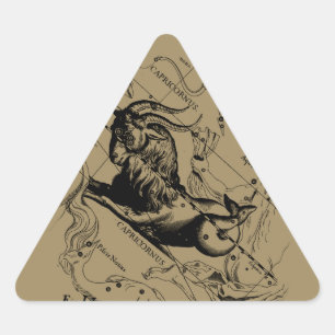 Capricorn Constellation Engraving Hevelius Sticker