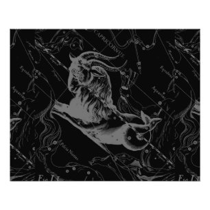 Capricorn Constellation Hevelius 1690 on Black Foto Afdruk