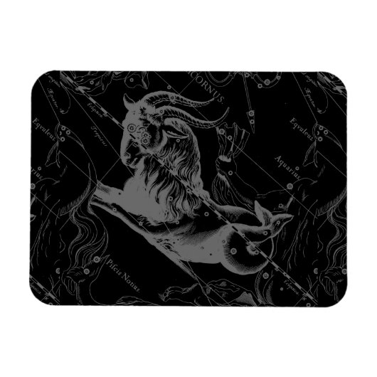 Capricorn Constellation Hevelius 1690 on Black Magneet (Horizontaal)