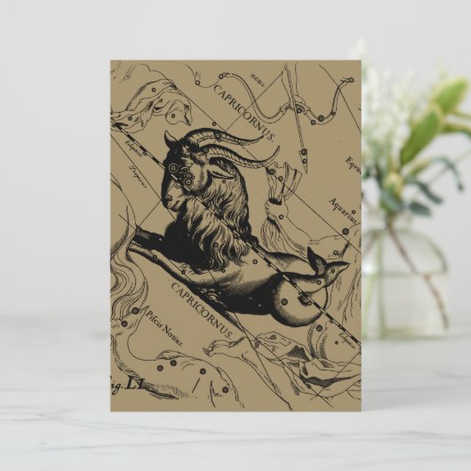 Capricorn Constellation Hevelius 1690 op Taupe (Staand voorkant)