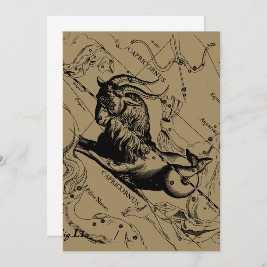 Capricorn Constellation Hevelius 1690 op Taupe (Voorkant / Achterkant)