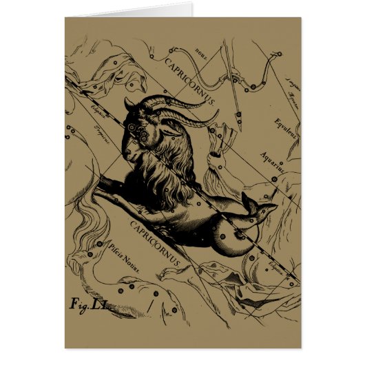 Capricorn Constellation Hevelius 1690 op Taupe (Voorkant)