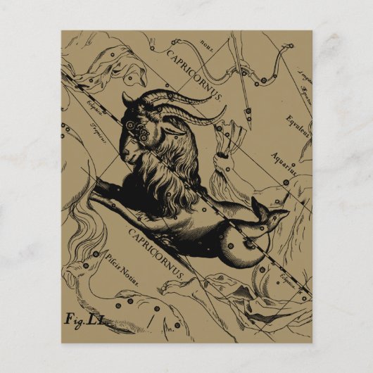 Capricorn Constellation Hevelius 1690 op Taupe Flyer (Voorkant)