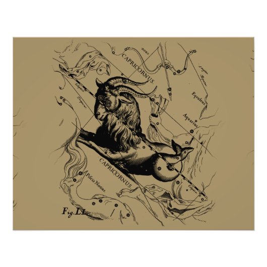 Capricorn Constellation Hevelius 1690 op Taupe Foto Afdruk (Voorkant)