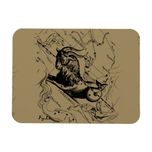 Capricorn Constellation Hevelius 1690 op Taupe Magneet (Horizontaal)