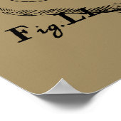 Capricorn Constellation Hevelius 1690 op Taupe Poster (Hoek)