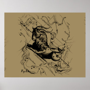 Capricorn Constellation Hevelius 1690 op Taupe Poster
