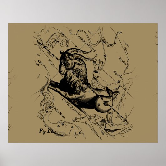 Capricorn Constellation Hevelius 1690 op Taupe Poster (Voorkant)