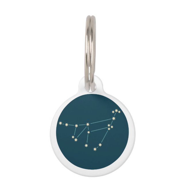 Capricorn Constellation Huisdierpenning (Voorkant)