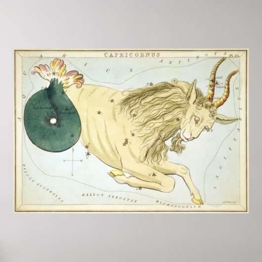  Capricorn Constellation Map (1825) Poster (Voorkant)