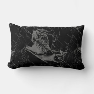 Capricorn Constellation Map  Hevelius 1690 Kussen