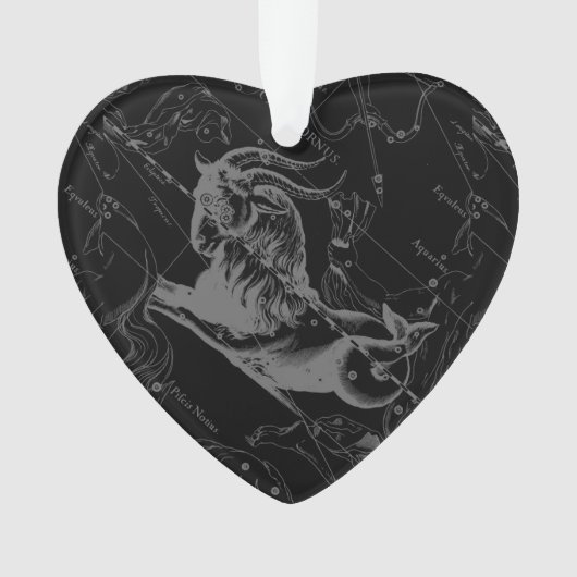 Capricorn Constellation Map Hevelius 1690 Ornament (voorkant)