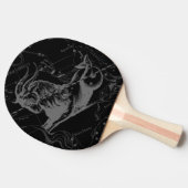 Capricorn Constellation Map  Hevelius 1690 Tafeltennisbatje (Zijkant)