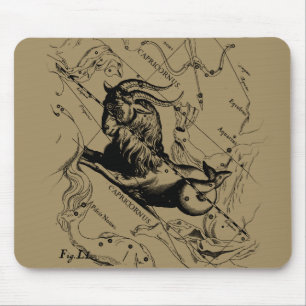 Capricorn Constellation Map Hevelius circa 1690 Muismat