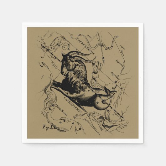 Capricorn Constellation Map Hevelius circa 1690 Servet (Voorkant)