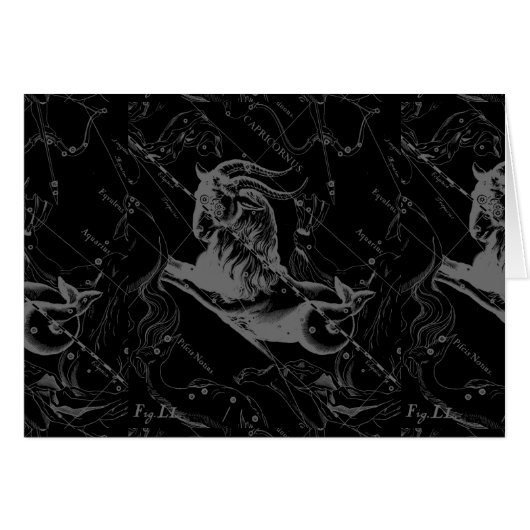 Capricorn Constellation Map Hevelius Engraving (Voorkant Horizontaal)