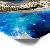 Capricorn Gold Characteristics Poster (Hoek)