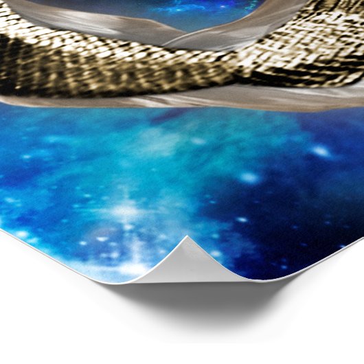 Capricorn Gold-kenmerken Poster