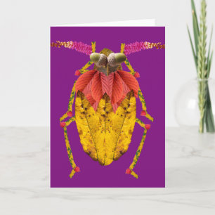 Capricorn Kaart