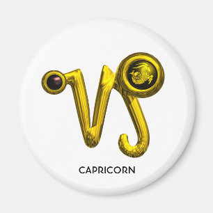 CAPRICORN MAGNEET