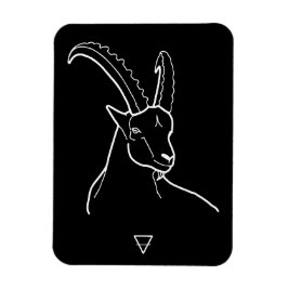 Capricorn Magneet