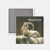 Capricorn Magnet. Magneet (Voorkant / Achterkant)
