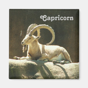 Capricorn Magnet. Magneet