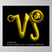 CAPRICORN POSTER (Voorkant)