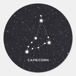 Capricorn Ronde Sticker