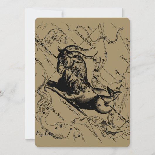Capricorn sterrenbeeld Hevelius 1690 op taupe (Voorkant)