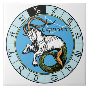 capricorn tegeltje