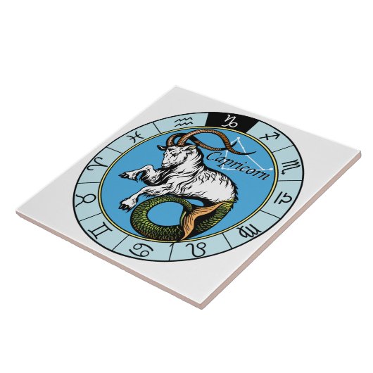 capricorn tegeltje (Zijkant)