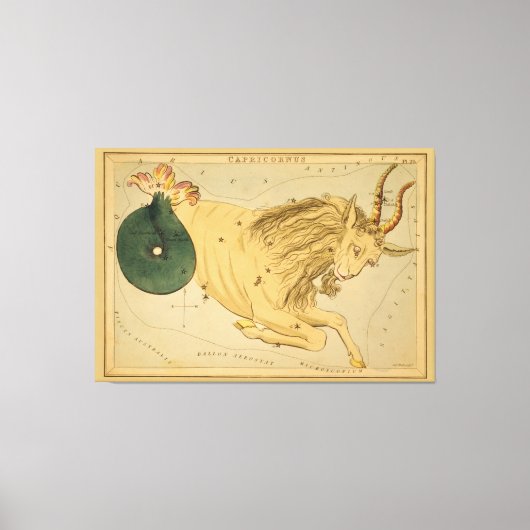 Capricorn -  teken van het Afbeelding van de diere Canvas Afdruk (Voorkant)