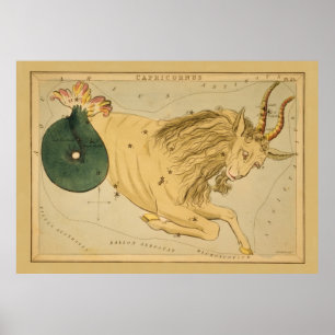 Capricorn -  teken van het Afbeelding van de diere Poster