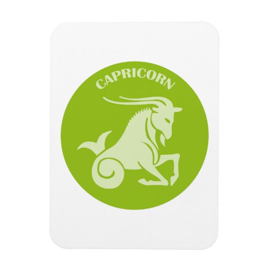 Capricorn, Zodiac Sign, Horoscope, Astrology Magneet (Verticaal)
