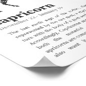 Capricorn Zodiac Sign poster (Hoek)