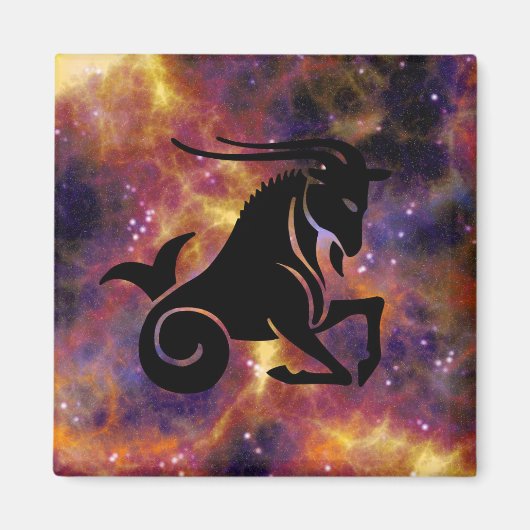 capricorngeit magnet (Voorkant)