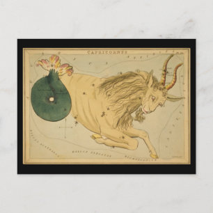 Capricornus (Capricorn) Briefkaart