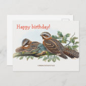 Caprimulgus Ruficollis Briefkaart (Voorkant / Achterkant)