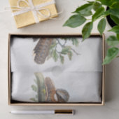 Caprimulgus Ruficollis, Ontvapt Tissuepapier (Geschenk)