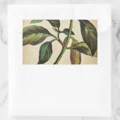 Capsicum annuum paprika rechthoekige sticker (Tas)