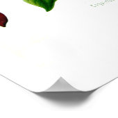 Capsicum annuum poster (Hoek)