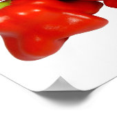Capsicum Chinense Poster (Hoek)