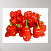 Capsicum Chinense Poster (Voorkant)