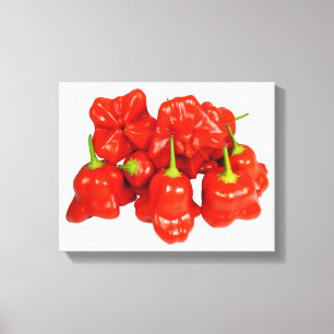Capsicum Chinese Chili stretched canvas Print