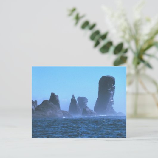 Capsingswisselaar Briefkaart (Staand voorkant)