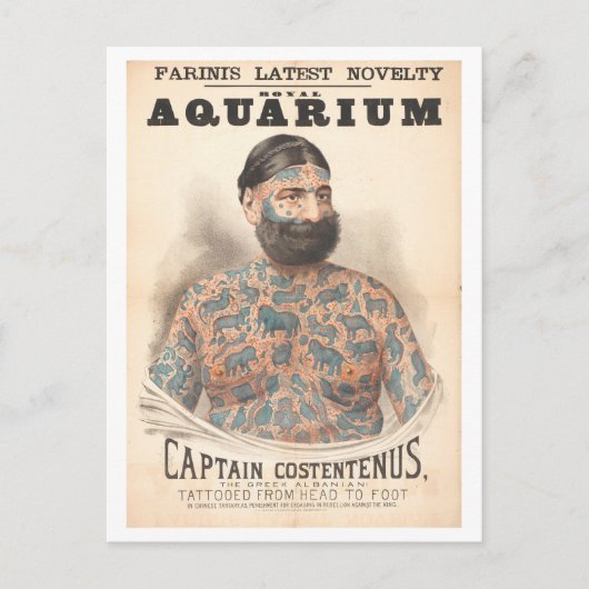 Captain Costentenus getatoeëerd Mannen Vintage Briefkaart (Voorkant)