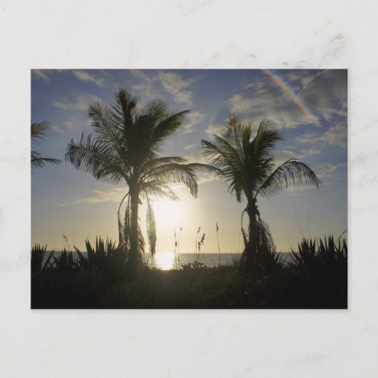 Captiva Island Briefkaart (Voorkant)